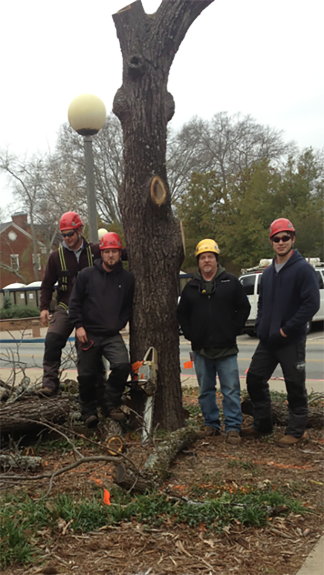 FMD Tree Crew Team